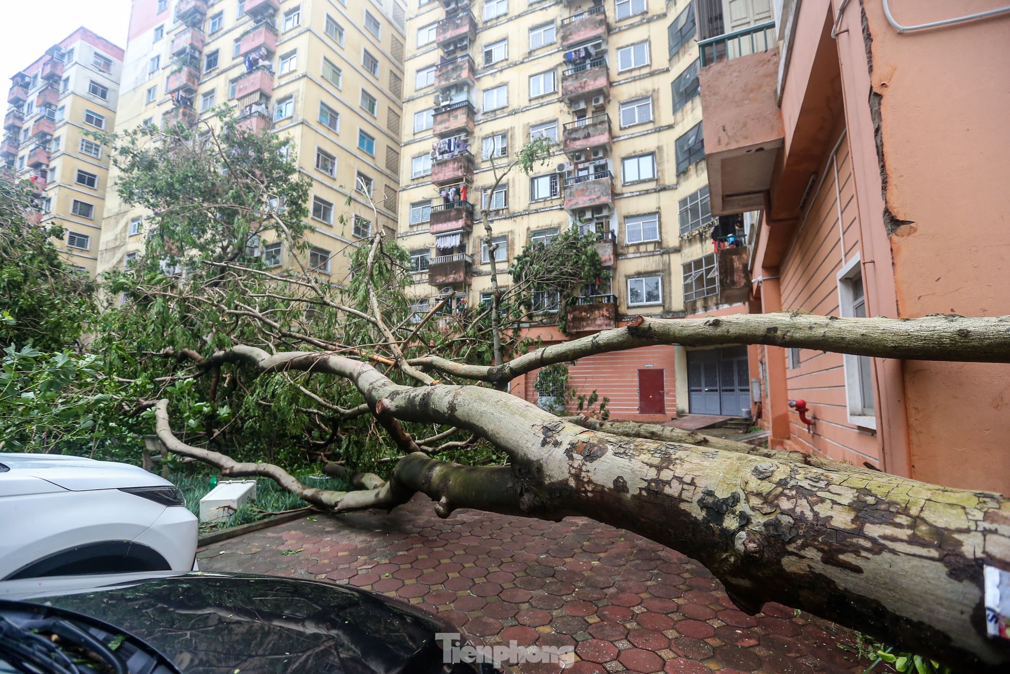 Cảnh khu đô thị, khu chung cư hoang tàn sau bão
