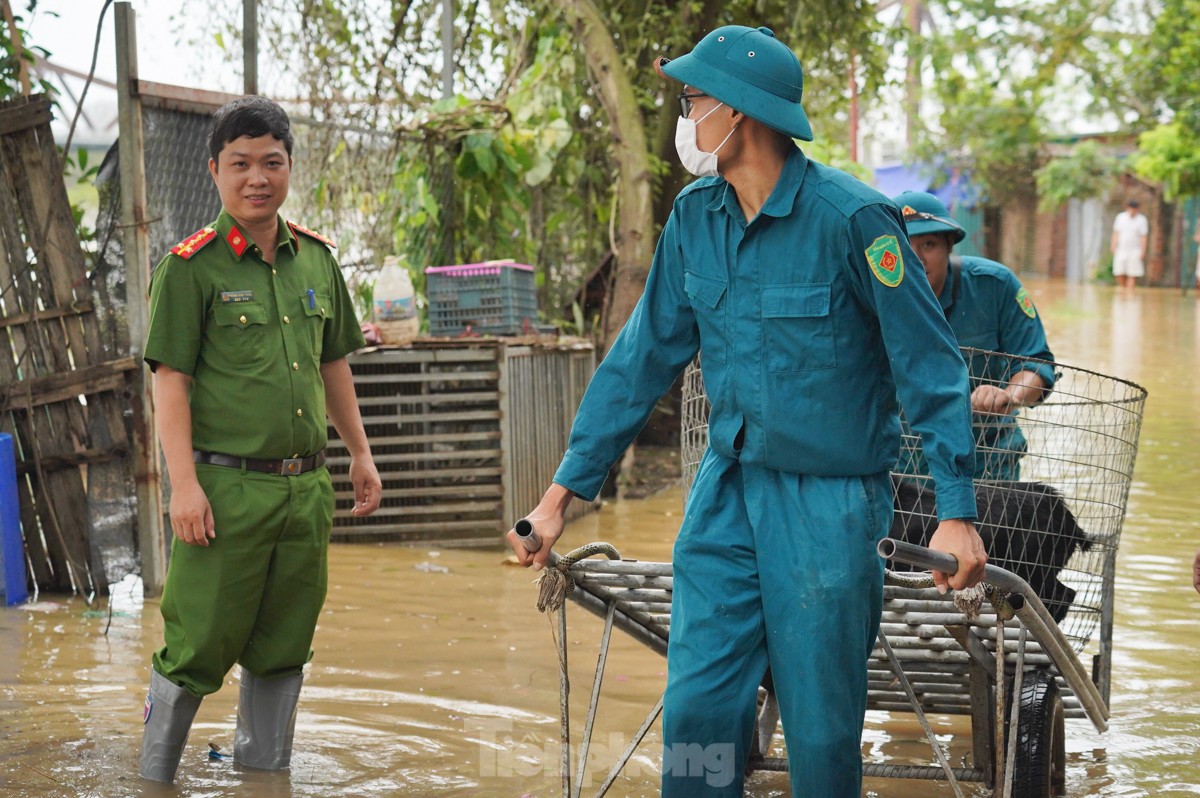 Dân ven sông Hồng hối hả chạy lũ
