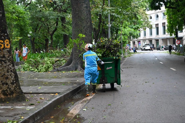 Hà Nội: Căng mình dọn dẹp sau bão
